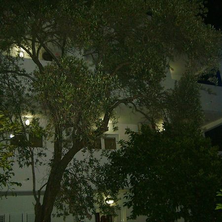 Lyon Apartments Budva Exterior photo
